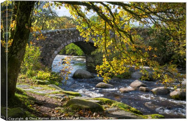 Dartmeet Dartmoor Devon autumn Canvas Print by Chris Warren