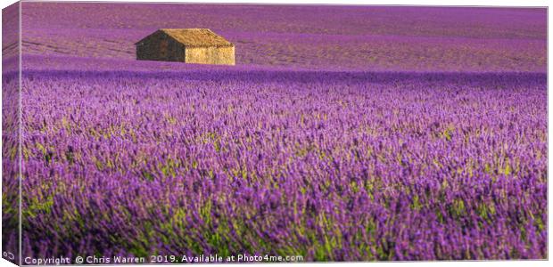 Lavender Fields Valensole France Canvas Print by Chris Warren