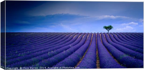 Lavender fields Valensole Provence France Canvas Print by Chris Warren