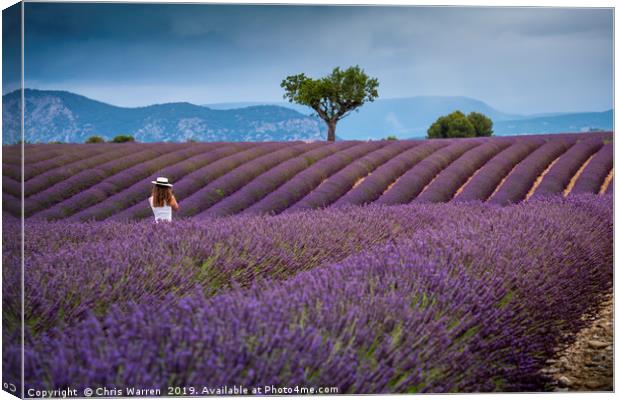 Lady amongst the Lavender fields Provence Canvas Print by Chris Warren