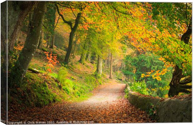 Woodland lane in the autumn colour Canvas Print by Chris Warren