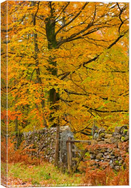 Autumn colour Canvas Print by Chris Warren