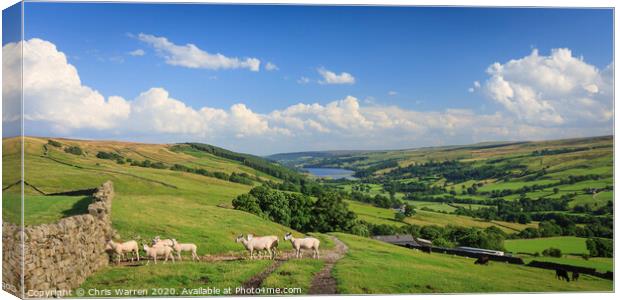 Gouthwaite Reservoir Canvas Print by Chris Warren