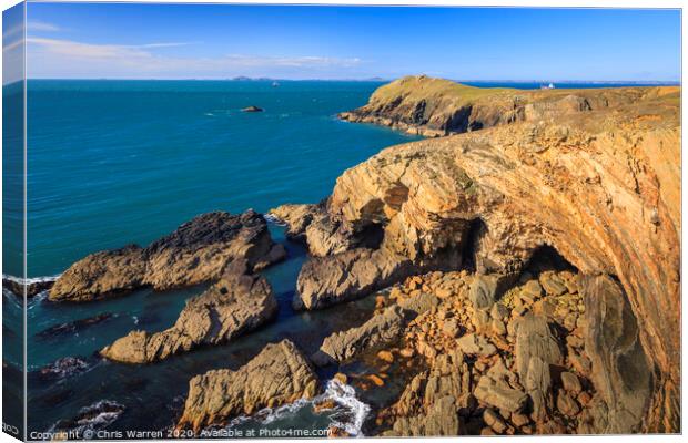 Deer Park Nr Marloes Pembrokeshire Canvas Print by Chris Warren