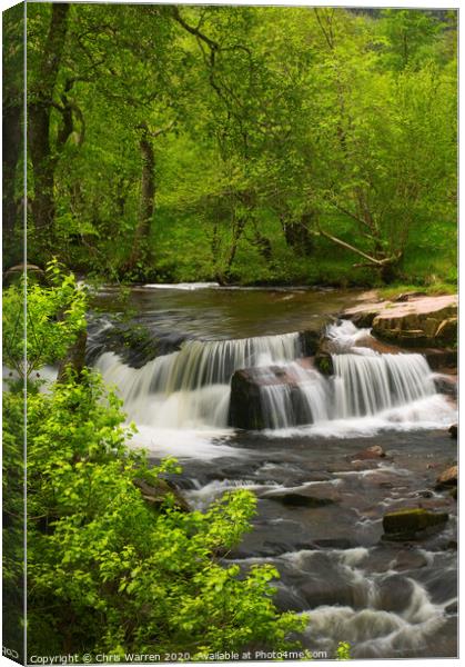 Taf Fechan Stream and waterfalls Brecon Canvas Print by Chris Warren