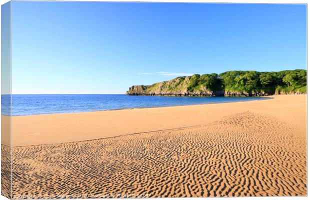 Barafundle Bay Pembrokeshire Wales Canvas Print by Chris Warren