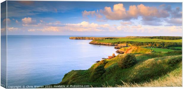Stackpole Head Barafundle Bay Pembrokeshire  Canvas Print by Chris Warren