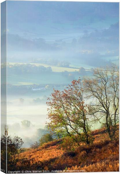 Vale of Llangollen Llangollen Denbighshire Wales Canvas Print by Chris Warren