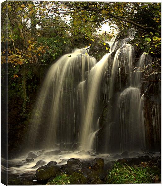 Waterfall in the Autumn Canvas Print by Peter Mclardy