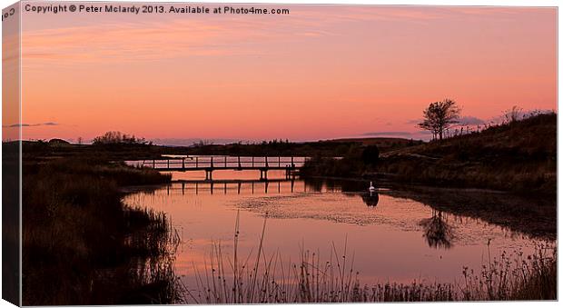 Early morning on Fairlie moor Canvas Print by Peter Mclardy