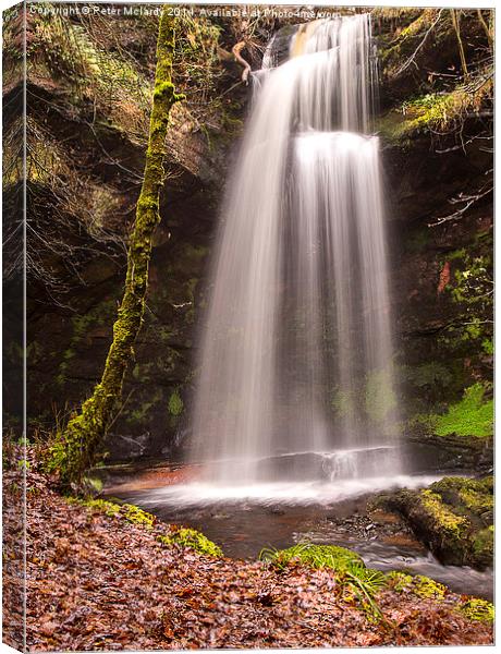 Glenburn Waterfall Canvas Print by Peter Mclardy