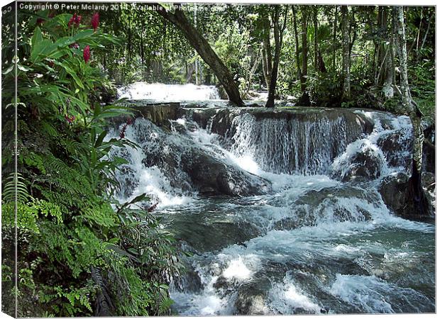 Dunns river falls Canvas Print by Peter Mclardy