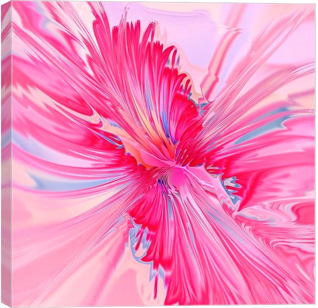 Carnation Pink Canvas Print by Anastasiya Malakhova