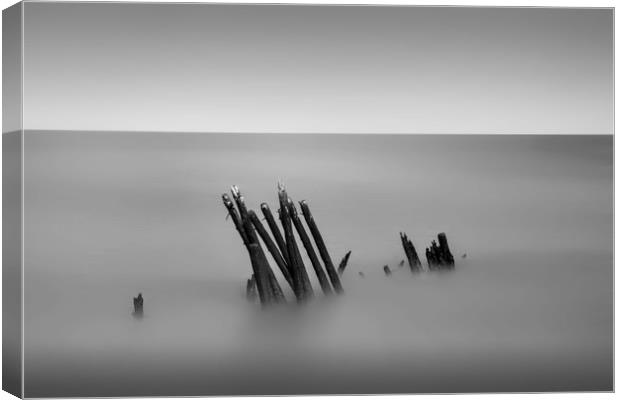 Old jetty Canvas Print by Andrew chittock