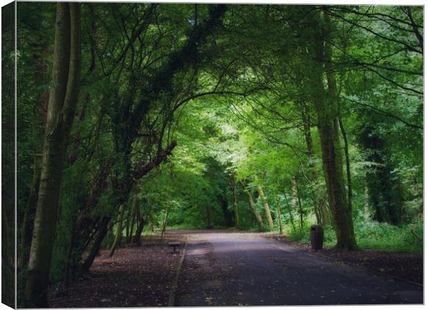 Woodland Road Canvas Print by Victor Burnside