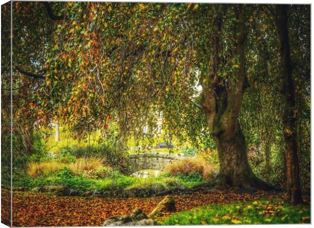 Park in Autumn  Canvas Print by Victor Burnside