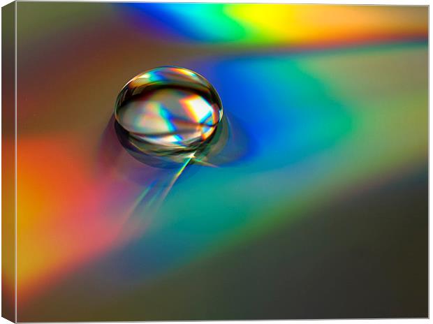 Water Drop Canvas Print by Victor Burnside