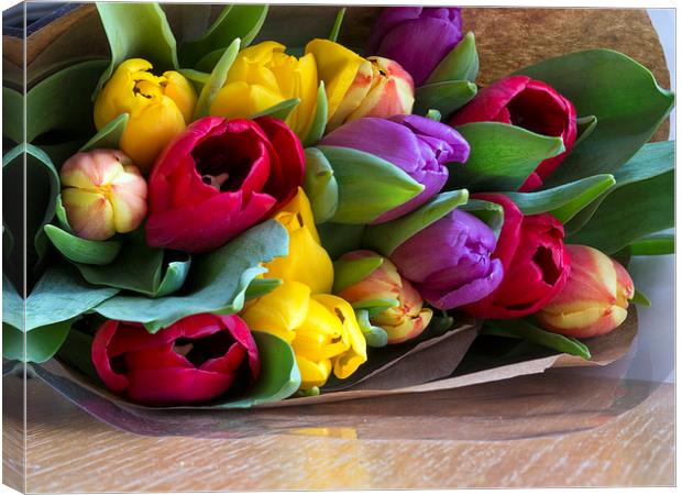 Tulips Canvas Print by Victor Burnside