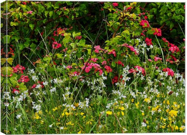 Spring Flowers  Canvas Print by Victor Burnside