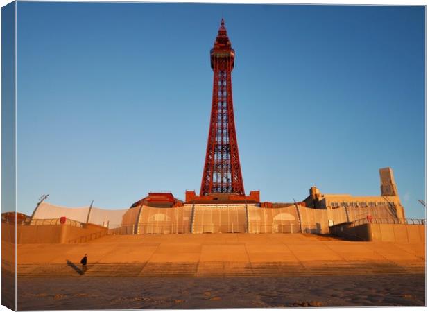 Blackpool Tower  Canvas Print by Victor Burnside