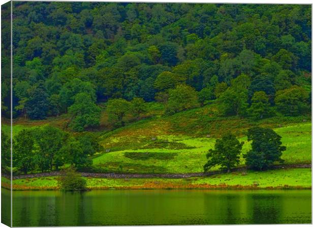 Rydal Water       Canvas Print by Victor Burnside