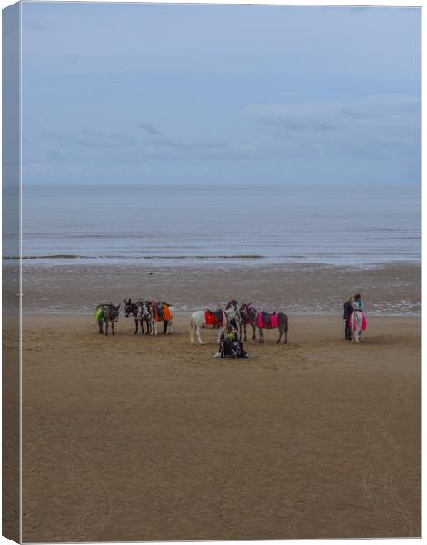 Blackpool Donkeys  Canvas Print by Victor Burnside