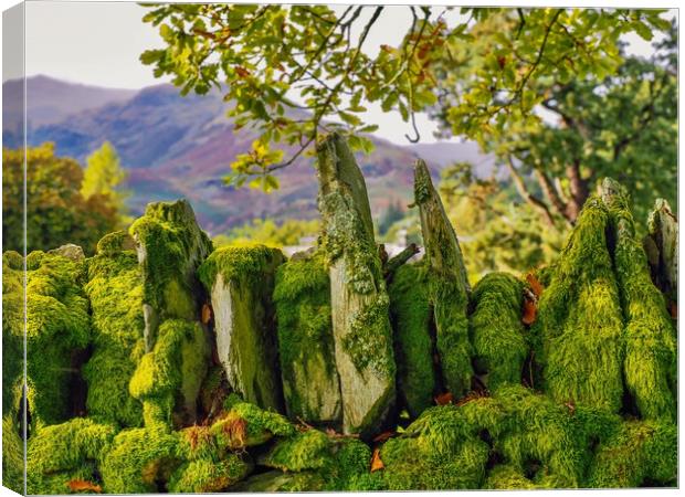 Lake District  Canvas Print by Victor Burnside