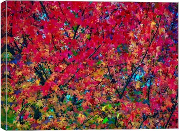Autumn Leaves   Canvas Print by Victor Burnside
