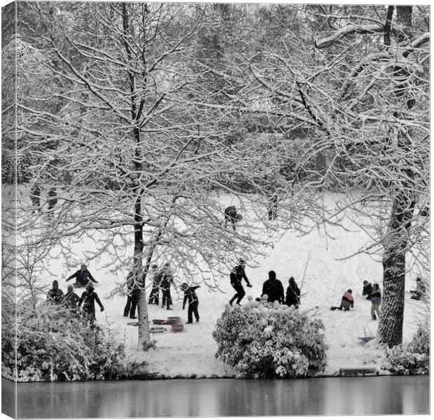 Park in Snow  Canvas Print by Victor Burnside