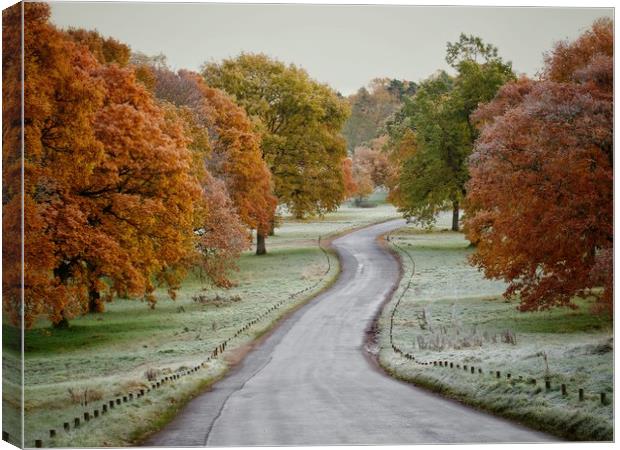 Frosty Road Canvas Print by Victor Burnside