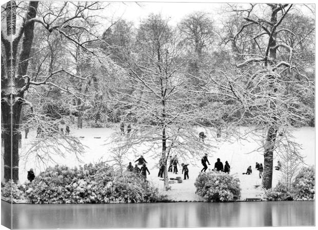 Park in Winter  Canvas Print by Victor Burnside