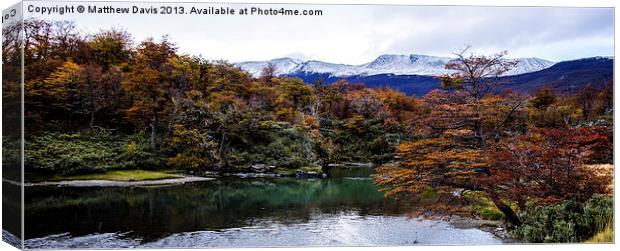 Tierra del Fuego Canvas Print by Matthew Davis