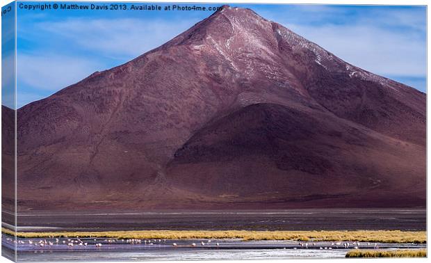 Surrounding Laguna Colorada Canvas Print by Matthew Davis