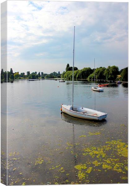 Danson Park, Boating Lake Canvas Print by Robert Cane