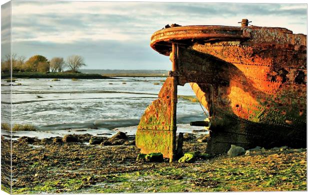 Riverside Country Park, Rusty Boat Canvas Print by Robert Cane
