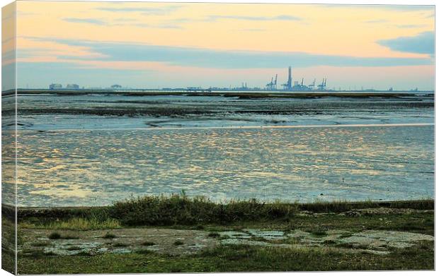 Riverside Country Park, River View Canvas Print by Robert Cane