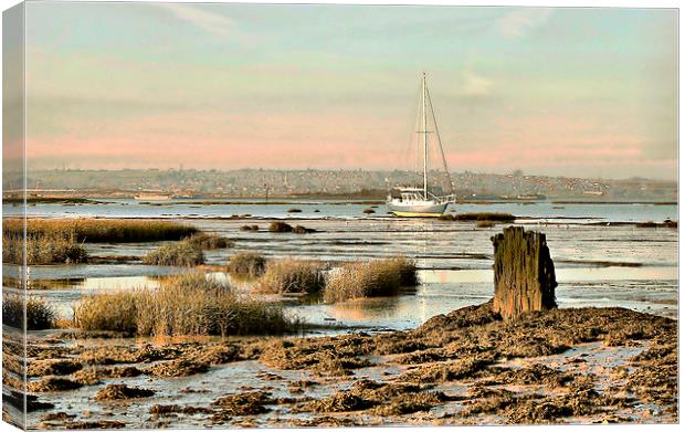 Riverside Country Park, River View Canvas Print by Robert Cane
