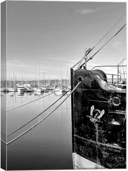 Chatham Marina, Kent, Yachts Canvas Print by Robert Cane