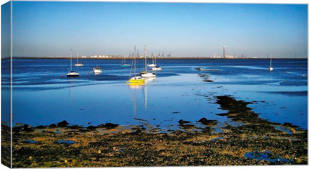 Lower Halstow, Medway, Yachts Canvas Print by Robert Cane