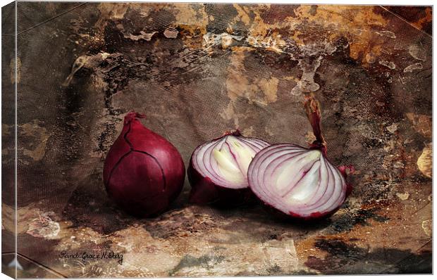 Red Onions Canvas Print by Randi Grace Nilsberg