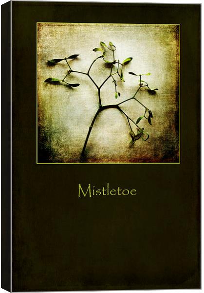 Mistletoe Canvas Print by Randi Grace Nilsberg