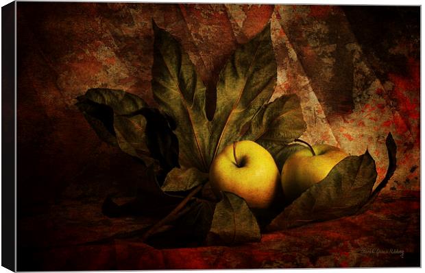 Comfy Apples Canvas Print by Randi Grace Nilsberg