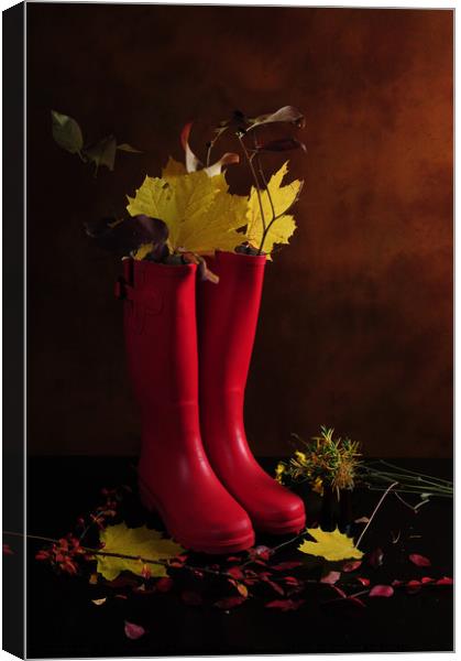 My Boots are Cool Canvas Print by Randi Grace Nilsberg