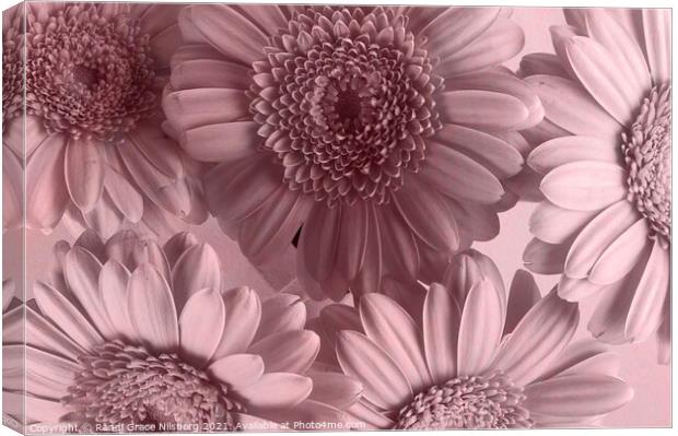 Blooming Closely Canvas Print by Randi Grace Nilsberg