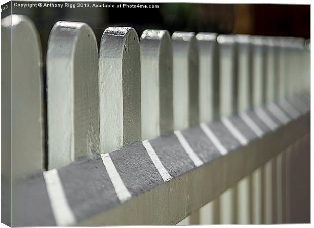 Picket Fence Canvas Print by Anthony Rigg