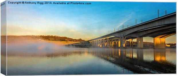 Misty Morning Canvas Print by Anthony Rigg