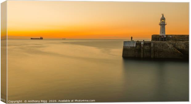Mevagissey Lighthouse  Canvas Print by Anthony Rigg
