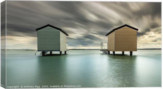 Osea Beach Huts Canvas Print by Anthony Rigg