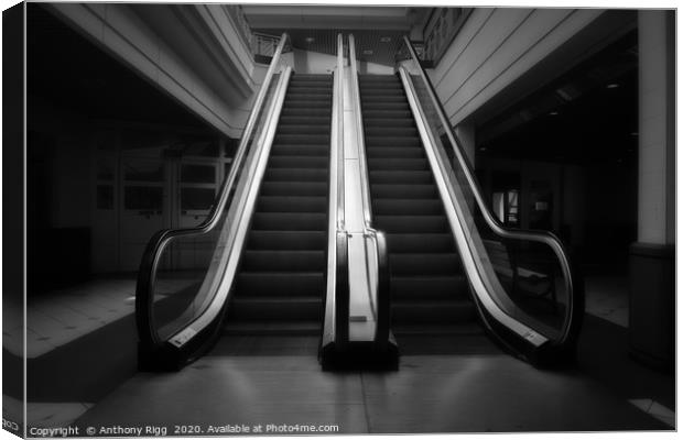 Empty Escalator  Canvas Print by Anthony Rigg