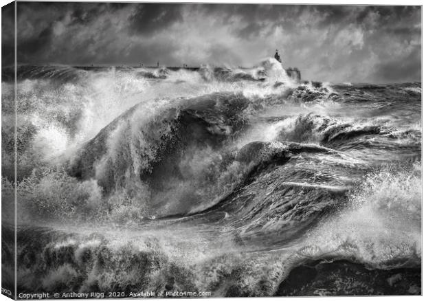 Storm Force Canvas Print by Anthony Rigg